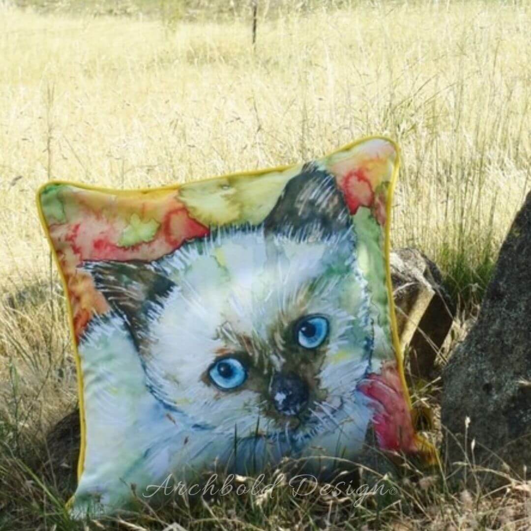 Ragdoll kitten cushion
