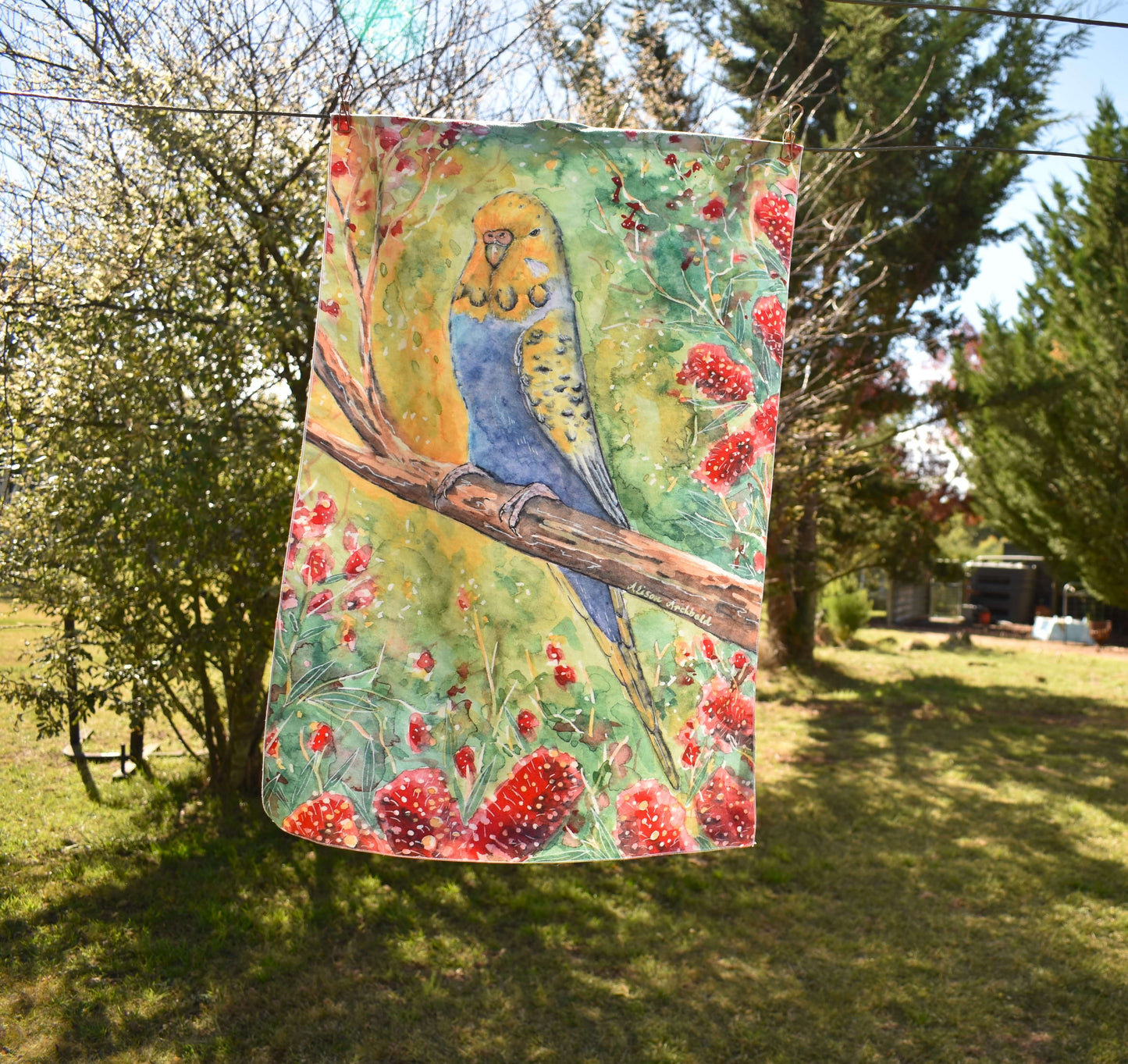 Tea Towel Golden face violet budgie with bottlebrush