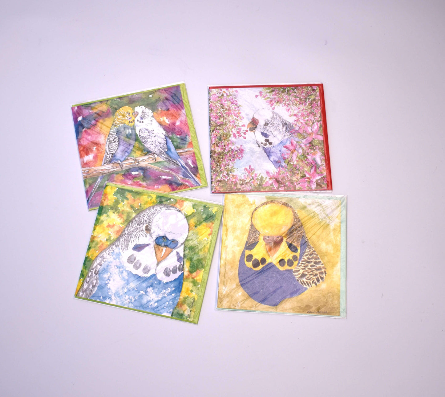 Green assorted budgie box