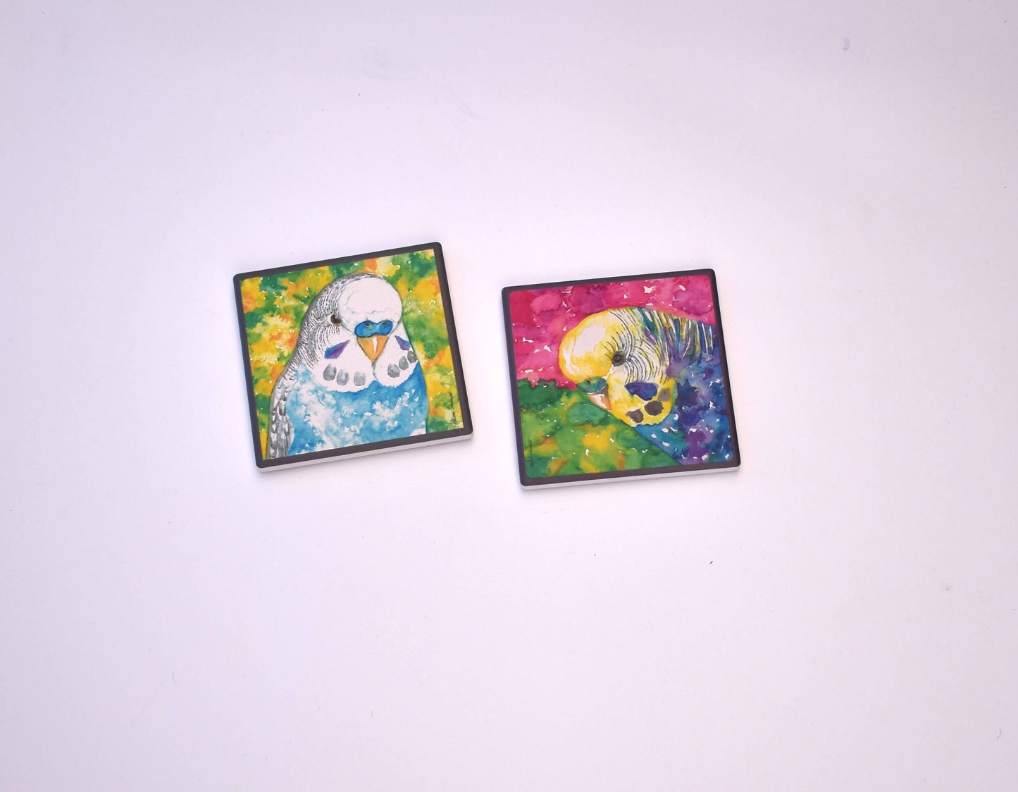 Green assorted budgie box