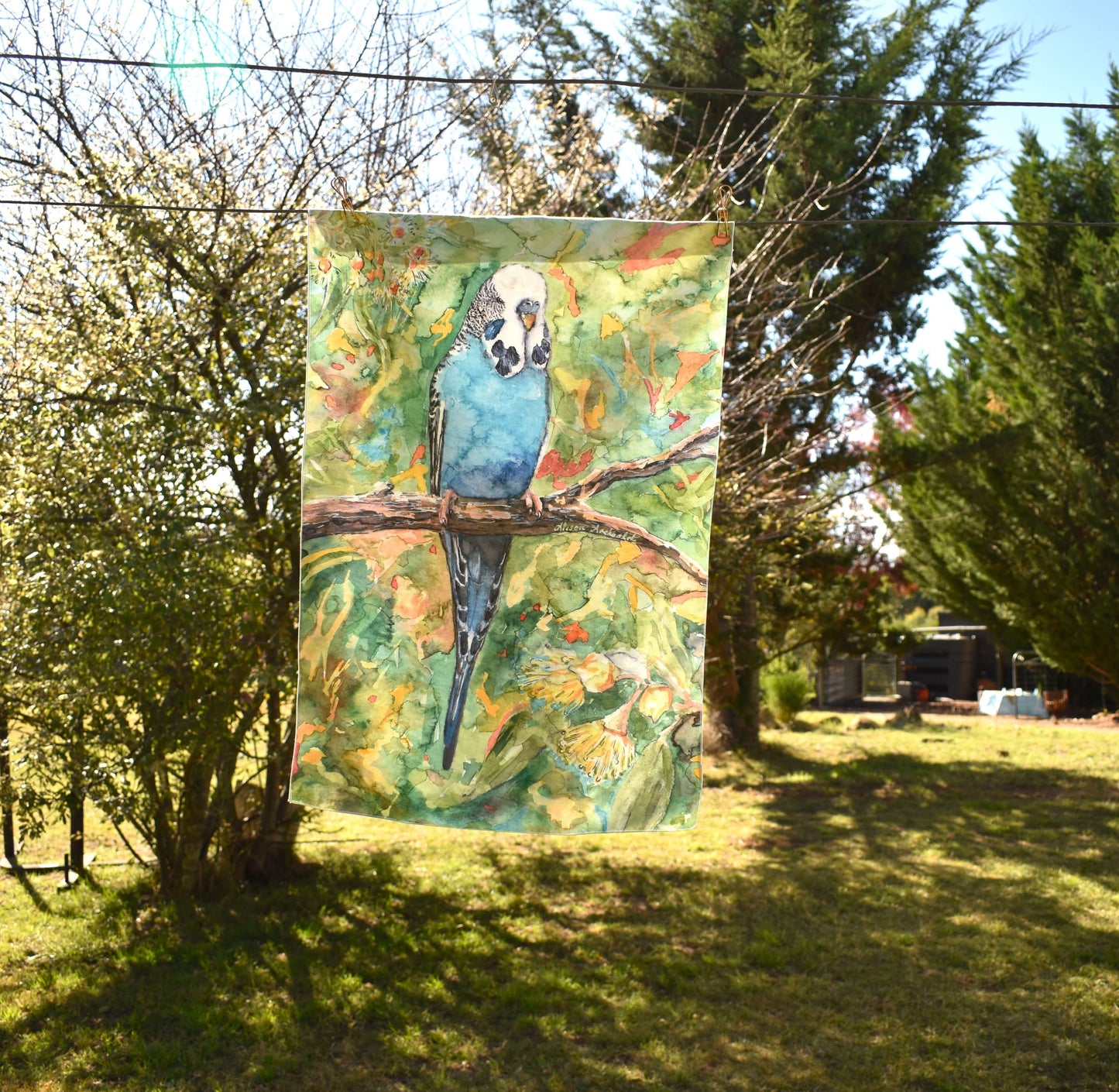 Tea Towel Sky blue budgie with flowering gum