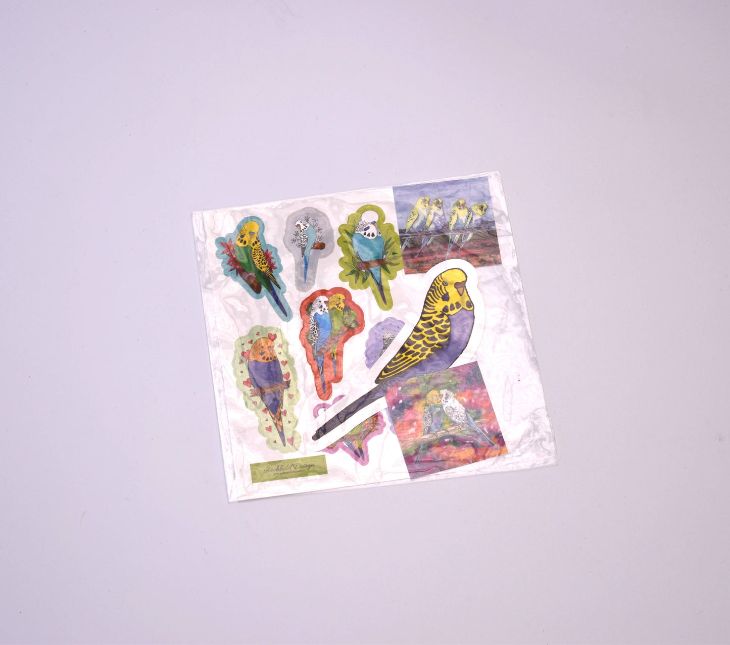 Green assorted budgie box