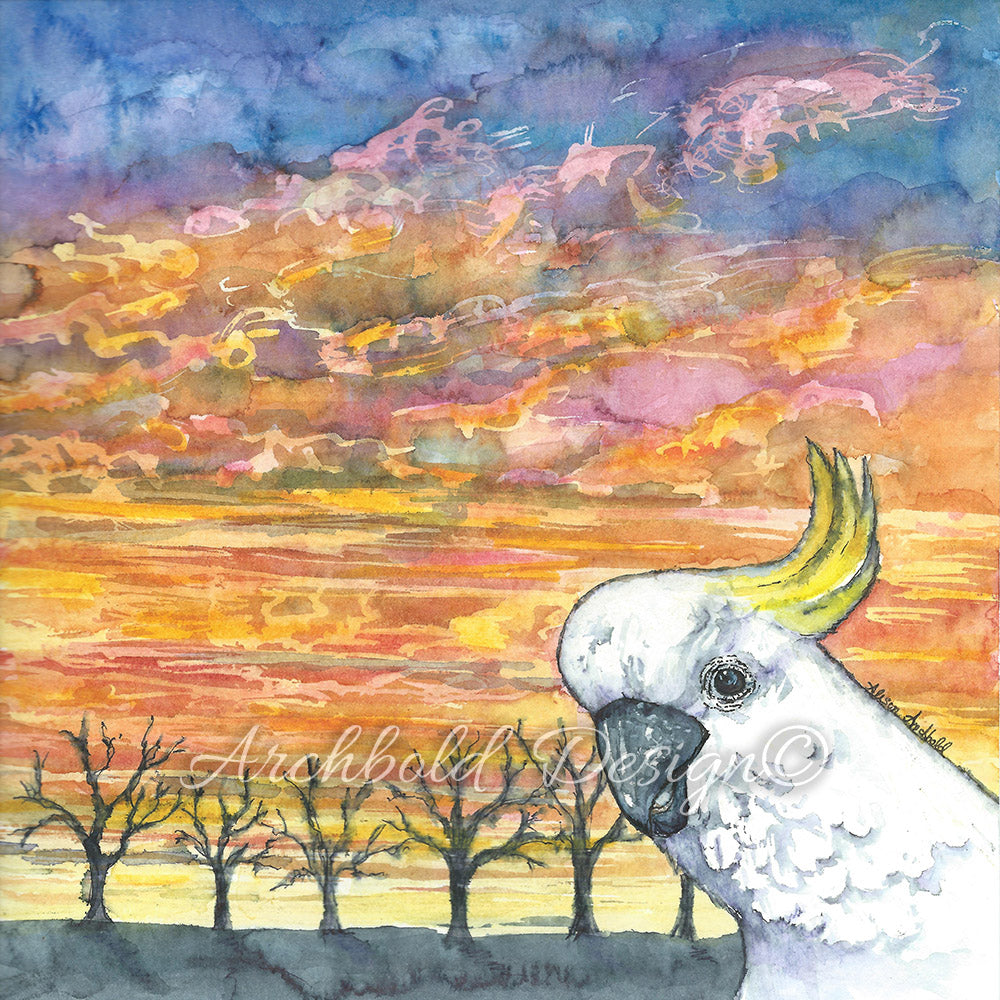 Greeting Card Animal Selfie Cockatoo Archbold Design