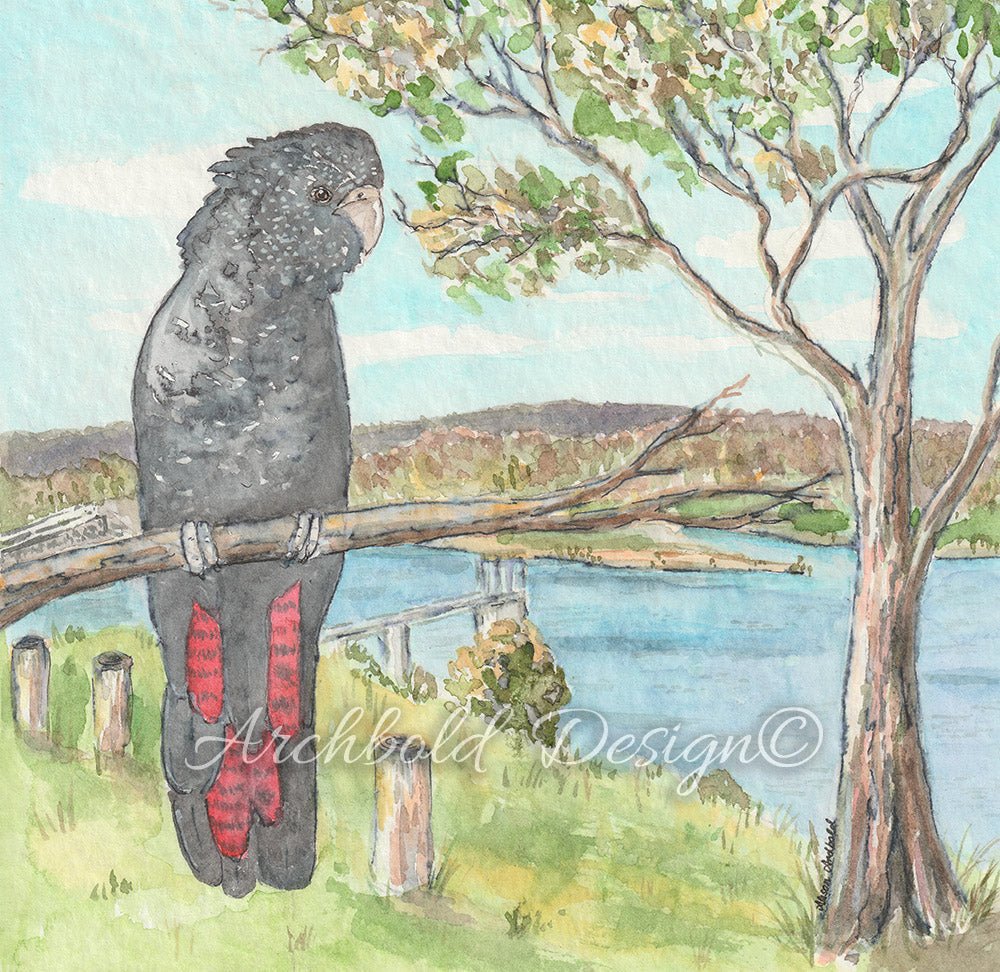 Greeting Card Black Cockatoo Archbold Design
