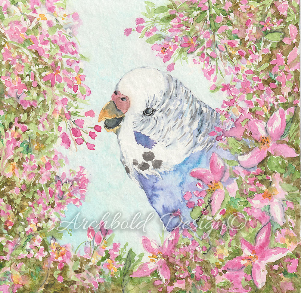 Greeting Card Budgie Blossom Archbold Design