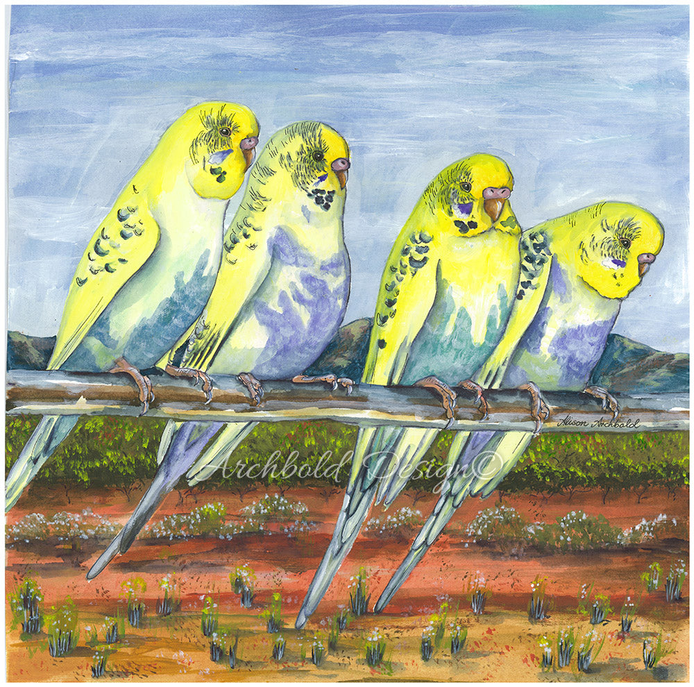 Greeting Card Budgie Desert Archbold Design
