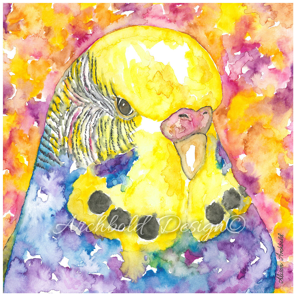 Greeting Card Budgie Goldenface Pink Orange Archbold Design