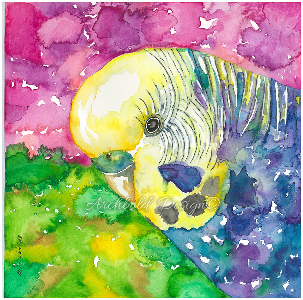 Greeting Card Budgie Opaline Archbold Design