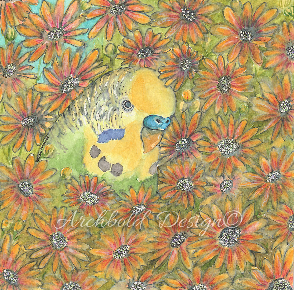 Greeting Card Budgie Osteospermum Archbold Design