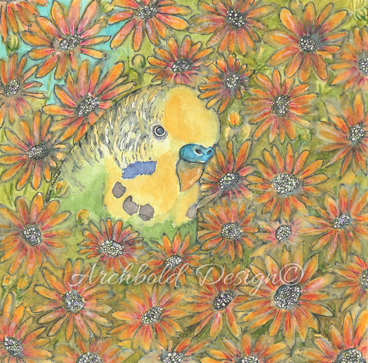 Greeting Card Budgie Osteospermum Archbold Design