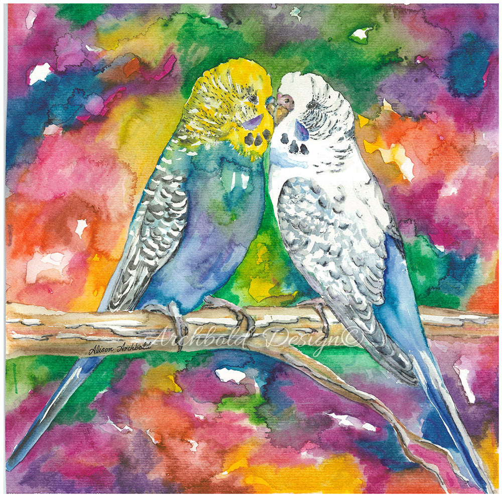 Greeting Card Budgie Pair Rainbow Archbold Design