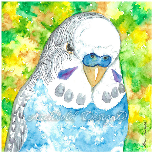 Greeting Card Budgie Sky Blue Archbold Design