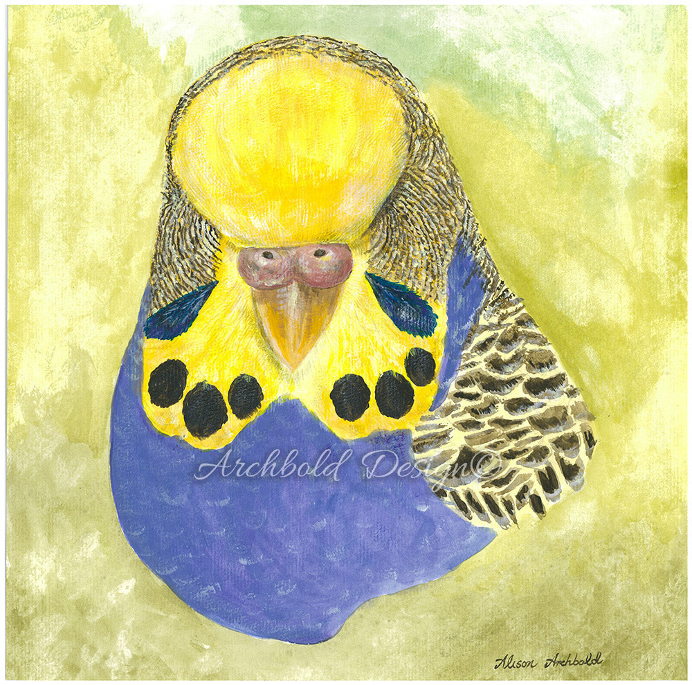 Greeting Card Budgie Violet Hen Archbold Design