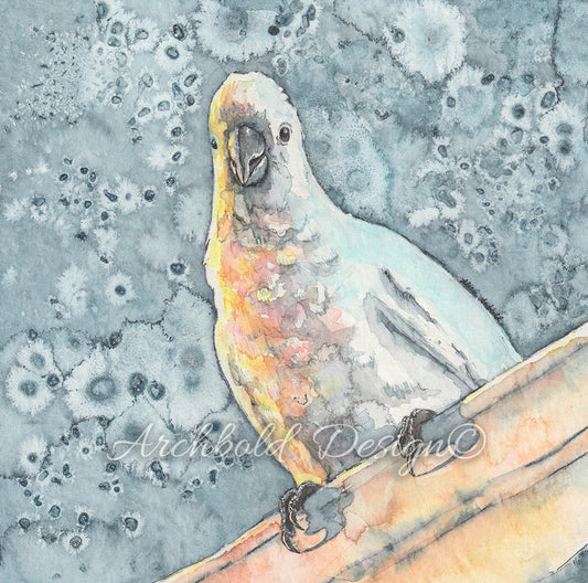 Greeting Card Cheeky Cocky Archbold Design