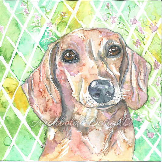 Greeting Card Dog Buttons Archbold Design