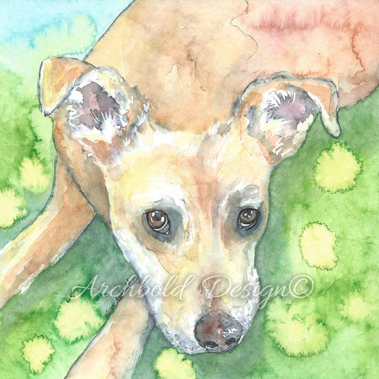 Greeting Card Dog Diesel Archbold Design
