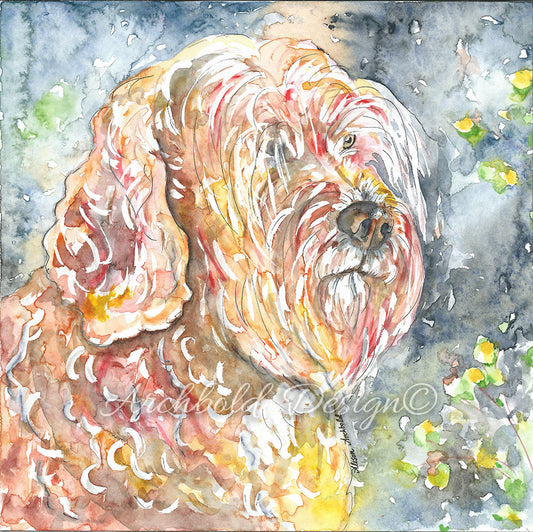 Greeting Card Dog Jester Archbold Design