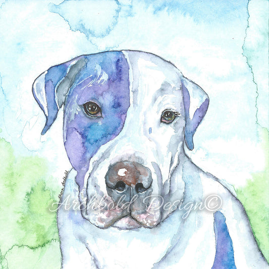 Greeting Card Dog Reggie Archbold Design