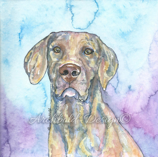 Greeting Card Dog Wilbur Archbold Design