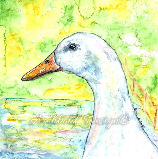 Greeting Card Farm Duck Archbold Design
