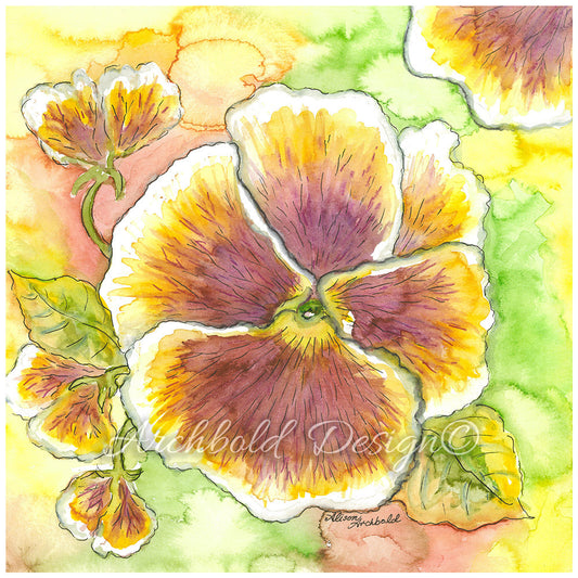 Greeting Card Garden Large Pansy Archbold Design