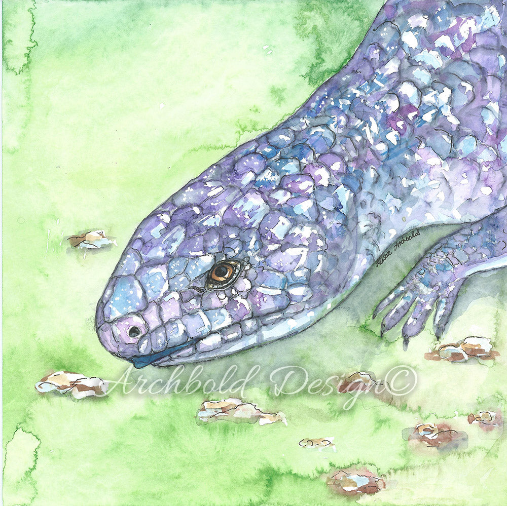 Greeting Card Native Blue Tongue Lizard Archbold Design