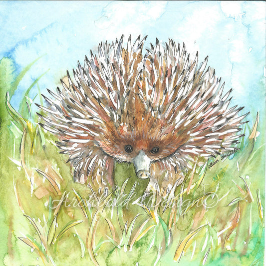 Greeting Card Native Echidna Archbold Design