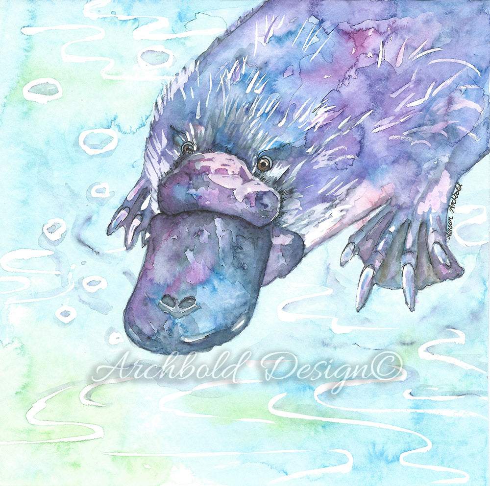 Greeting Card Native Platypus Archbold Design