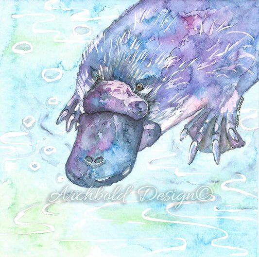 Greeting Card Native Platypus Archbold Design