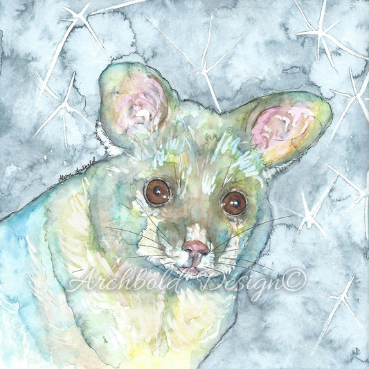 Greeting Card Native Possum Archbold Design