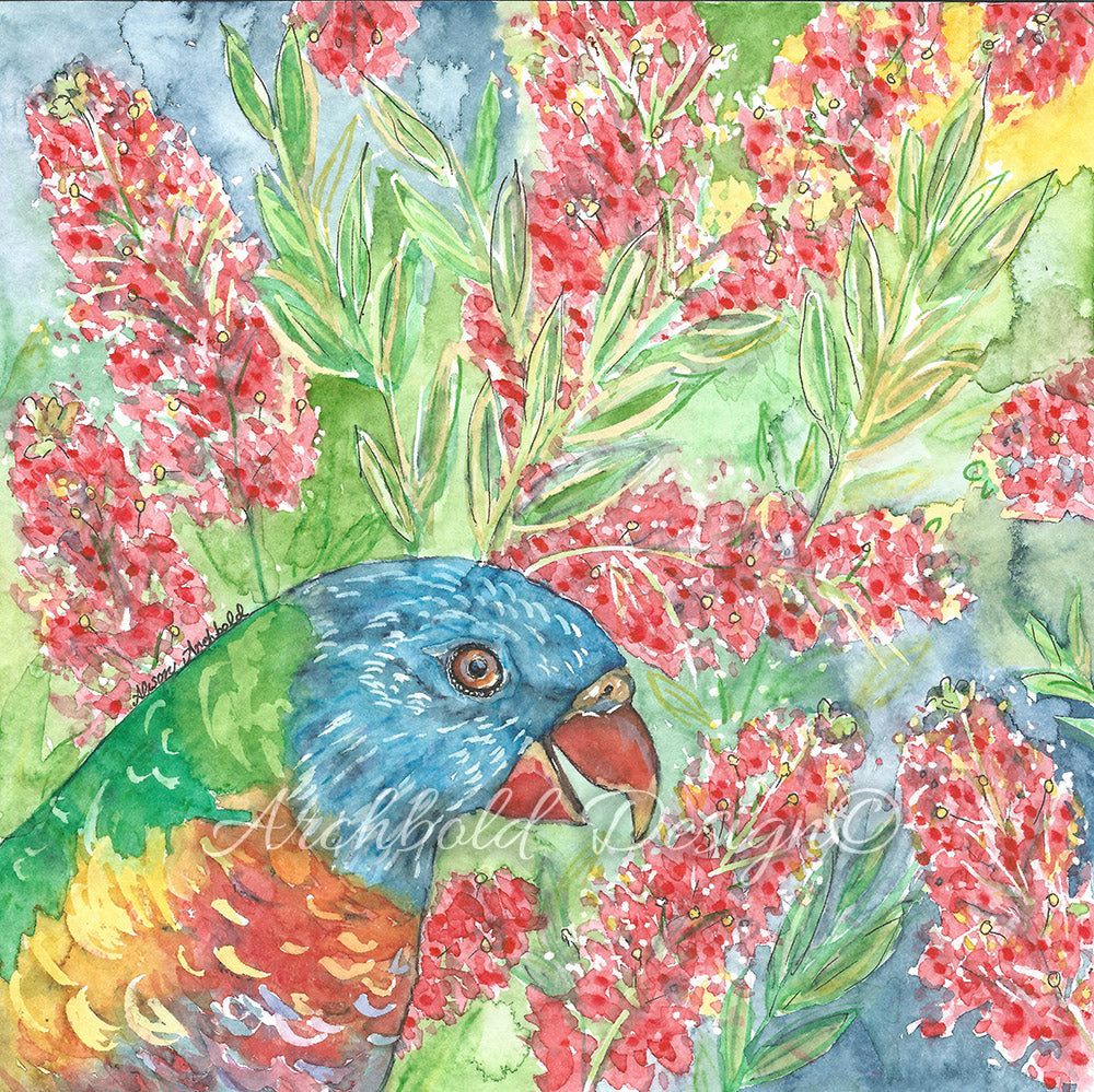 Greeting Card Rainbow Lorikeet Archbold Design