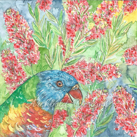 Greeting Card Rainbow Lorikeet Archbold Design