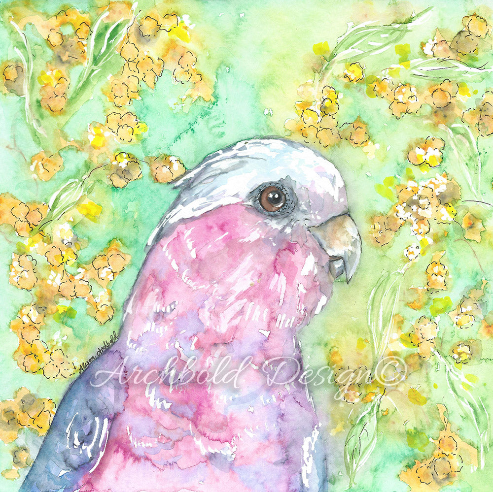 Greeting Card Small Animal Galah Archbold Design