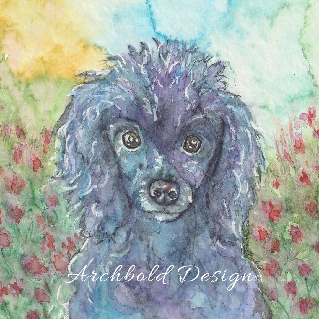 Greeting Card Dog Black Poodle  Jamie