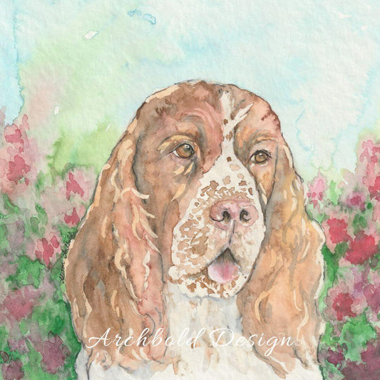 Greeting Card Dog Springer Spaniel Obi