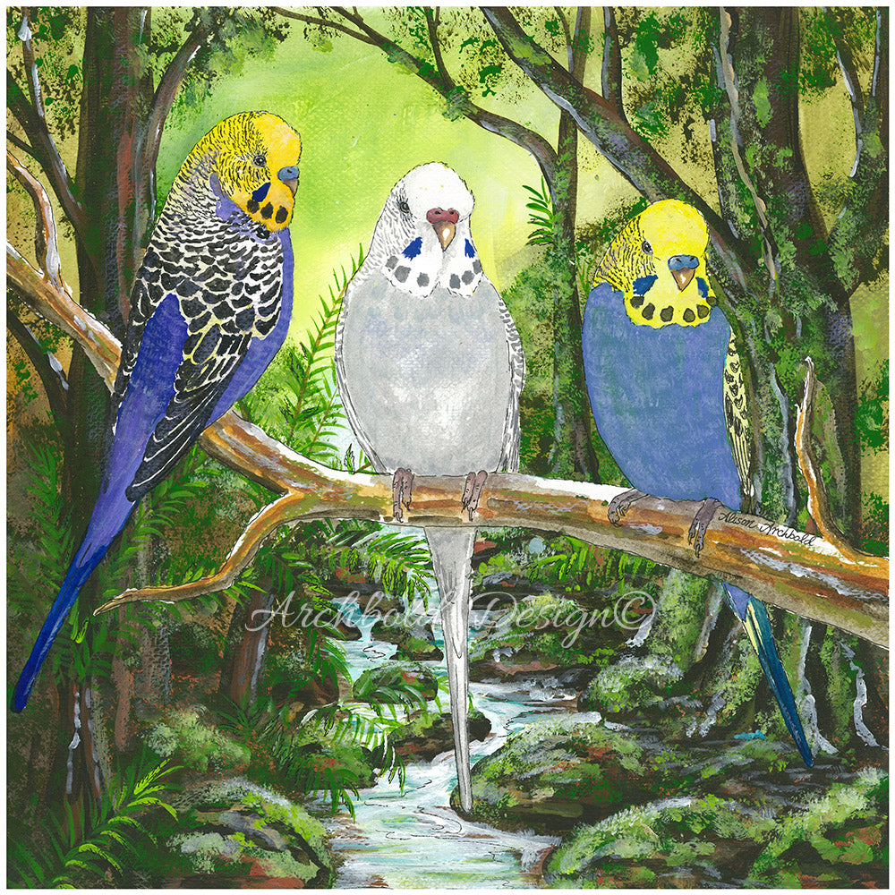 Greeting Card Budgie Forest Archbold Design
