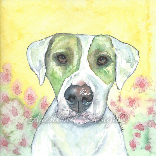 Greeting Card Dog Ziggy Archbold Design